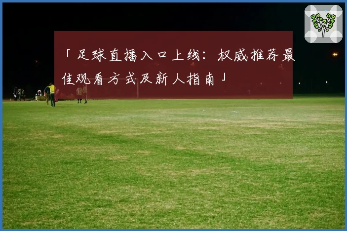 「足球直播入口上线：权威推荐最佳观看方式及新人指南」